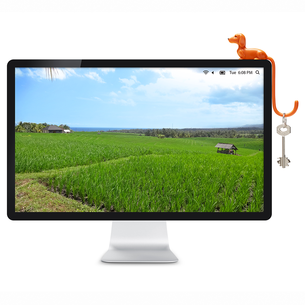 3M dog tail hook for computer monitor and  Shelfs – For Headphones, Keys and more - Monkey Business desk accessory