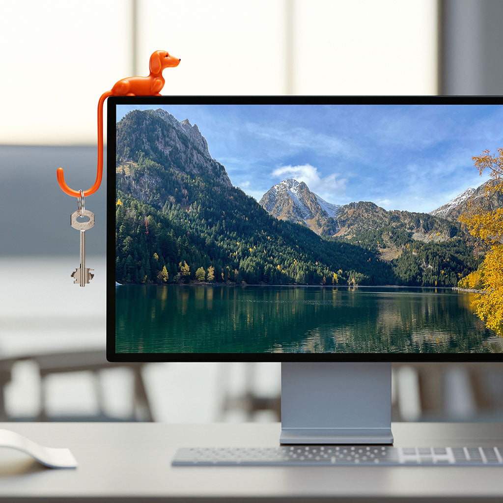 Dog Hook with adhesive to screen  for headphones and keys and more -  Monkey Business