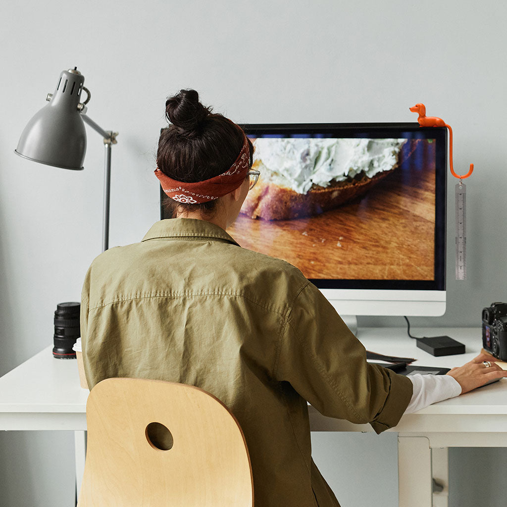 3M hook for computer monitor – Monkey Business desk accessory