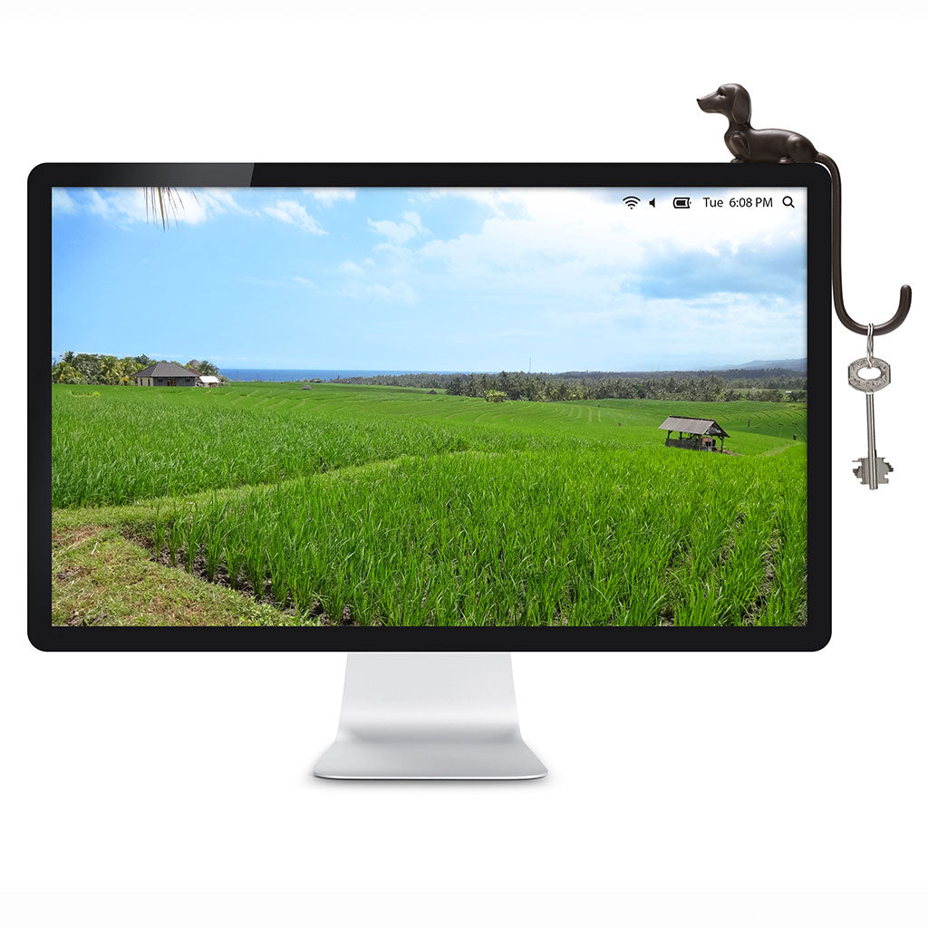 Rusty adhesive screen hook for headphones and keys by Monkey Business