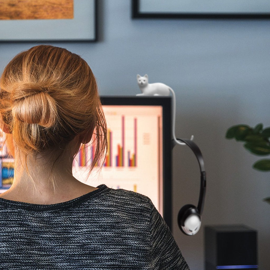 Ginger adhesive monitor screen hook for desk Monkey Business  - gift pack of 2 