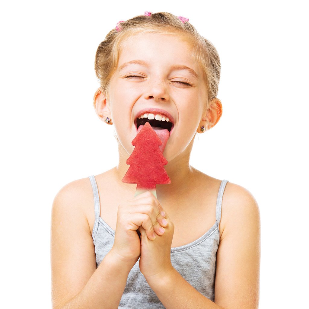 PEPO FOREST | Watermelon slicer - Cutter Accessories - Monkey Business Europe