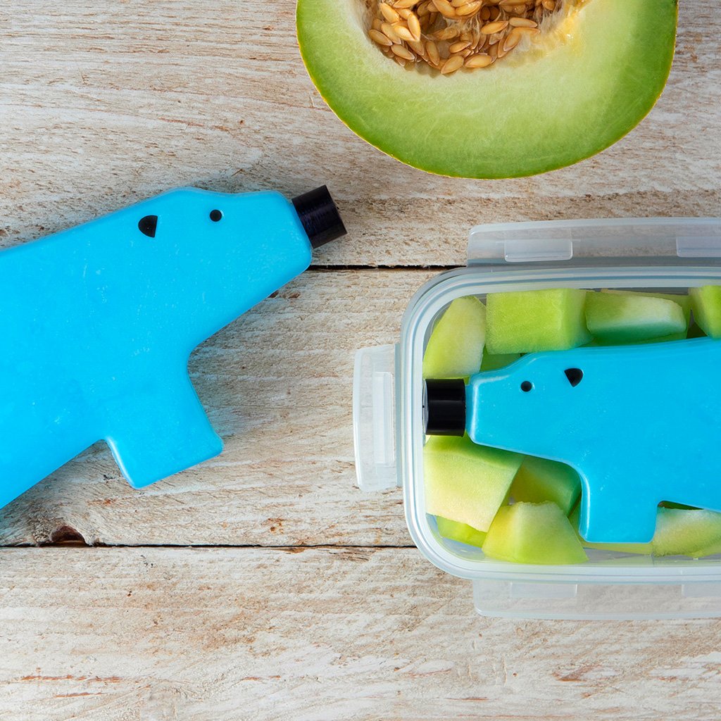 BLUE BEAR FAMILY | Set of 3 or 6 - Ice Packs - Monkey Business Europe