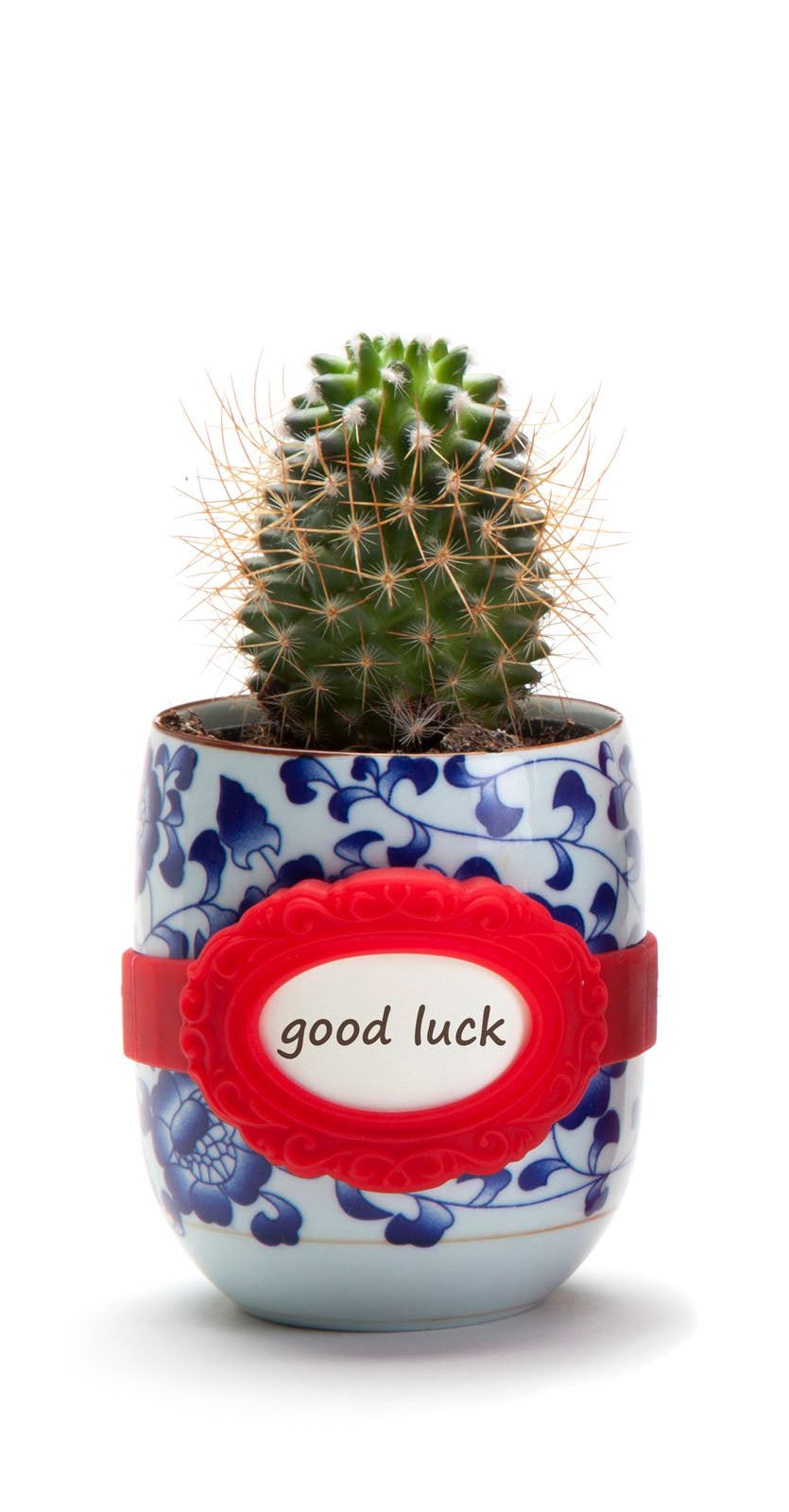 LA BELLA FAMILY | Label bands -  - Monkey Business Europe