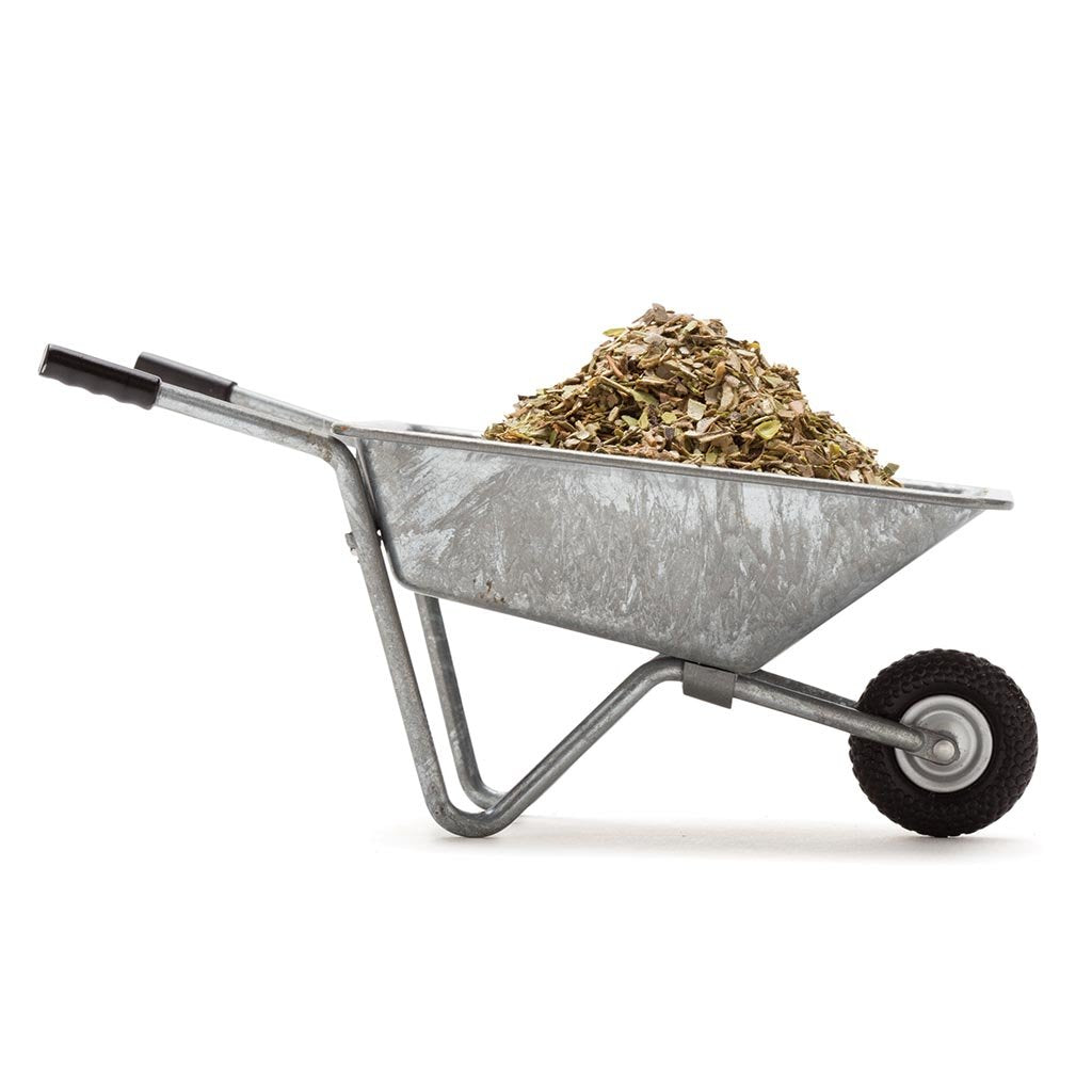 SPICEBARROW | Salt holder -  - Monkey Business Europe