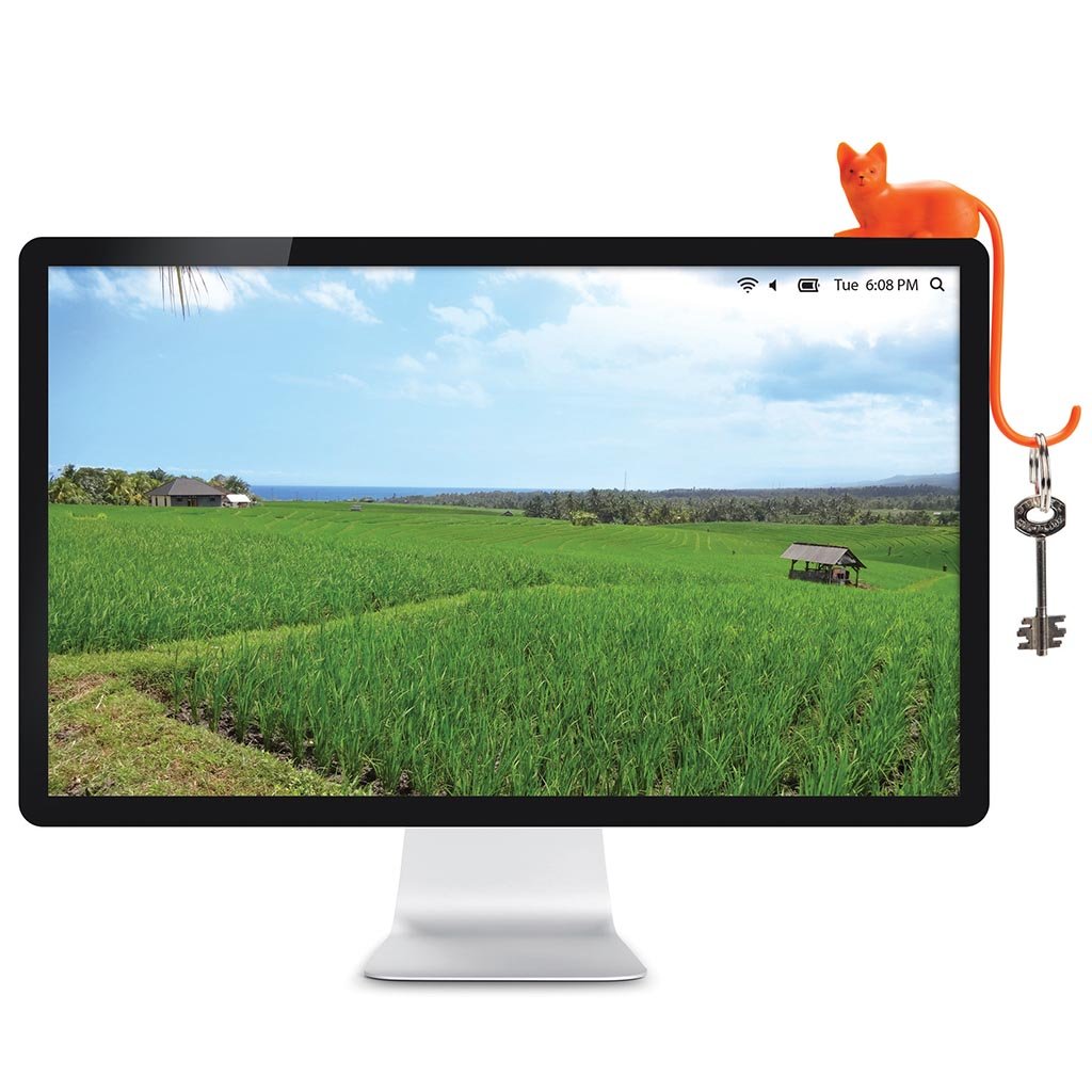 ginger screen hook with 3M adhesive 	cute cat -  desktop hook for for hanging accessorie by Monkey Business