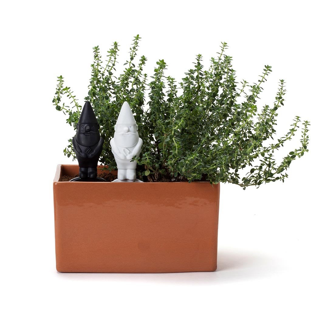 HERBERTS | Gardening companions -  - Monkey Business Europe