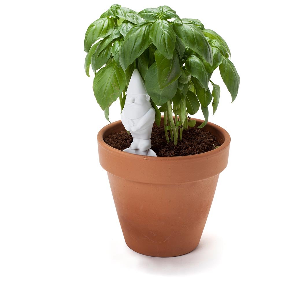 HERBERTS | Gardening companions -  - Monkey Business Europe